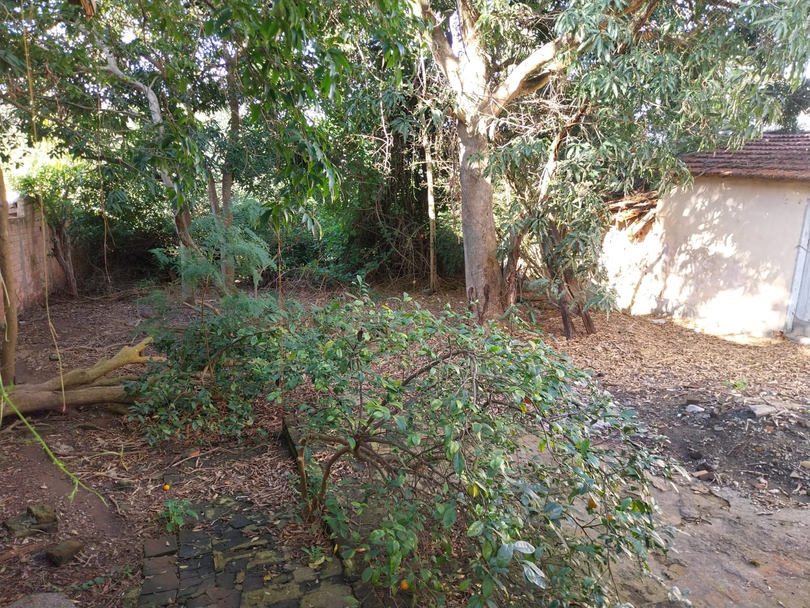 TEOFILO 03 TERRENO A VENDA (Ponto Comercial) EM TATUÍ SP (Rua Teófilo Andrade Gama, 455)